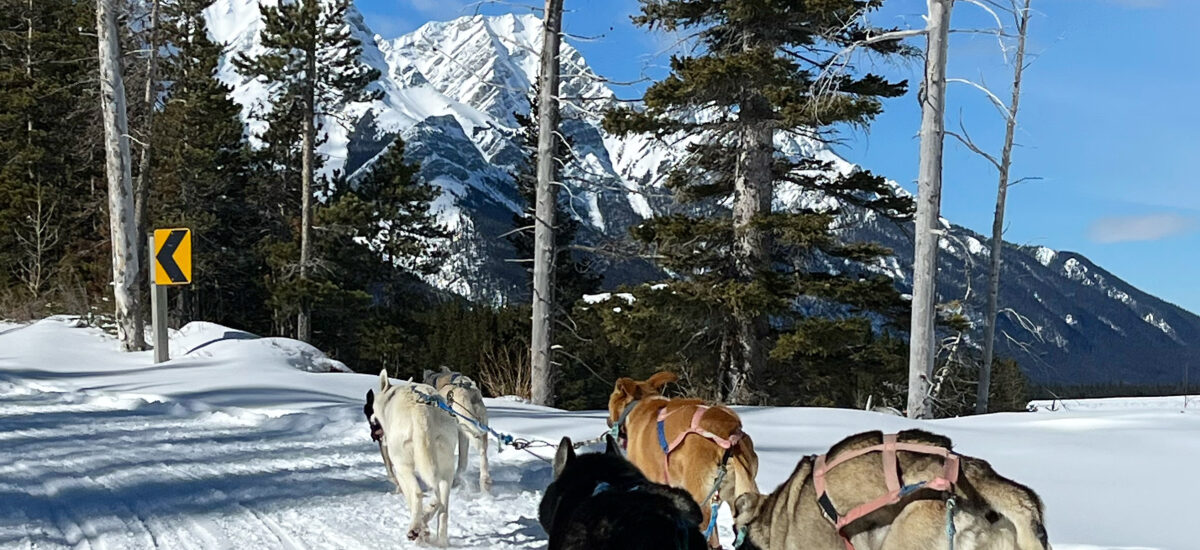 2 D2 B6750 5 E1 B 4319 A488 C9 A8713 C94 E1